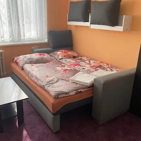 Garsoniera U Lesoparku Apartment Horní Slavkov Exterior photo
