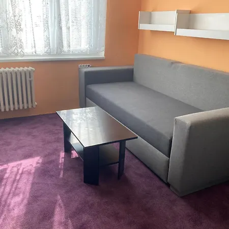 Garsoniera U Lesoparku Apartment Horní Slavkov Exterior photo