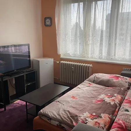 Garsoniera U Lesoparku Apartment Horní Slavkov Exterior photo